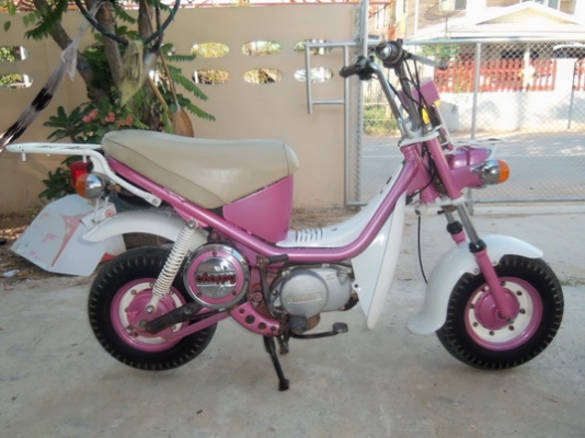 ขายชิปปี้เดิมๆถูกๆรวมส่ง12900=ต่อรองได้