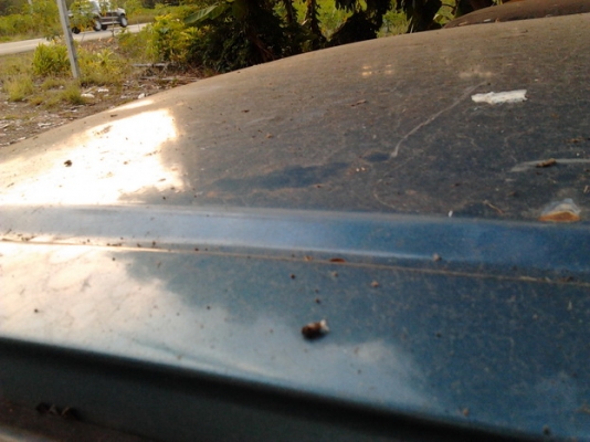 **ปรับราคารับปีใหม่ !!! 5 วัน เท่านั้น!! ขาย กระบะตอนเดียว NISSAN บิ๊กเอ็ม LD20 ปี29/86 เครื่องLD20 แน่นๆ ไม่หลวม ลงเล่มแล้ว ช่วงล่างดี คัสซีพอใช้ ยางดี กระบะมีผุบ้าง ภายในดี เบาะมีขาด พร้อมลุยงาน เข้าไร่ เข้าสวน ขายตามสภาพ ***ขายแล้วครับขอบคุณ Truck2hand