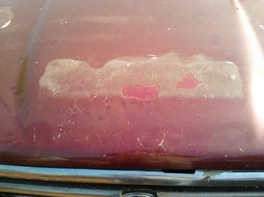 ขาย กระบะแค็ป ไมตี้เอ็กซ์ 2.5 ปี39/96 โปร่งหลังแท้ เครื่องแน่นๆ พ.พาวเวอร์ แอร์ CD-MP3 พร้อมจอ เครื่องเสียง บึ้ม ภายในดี เบาะไม่ขาด ช่วงล่างแจ่ม คัสซีสวย สีดี มีเก็บมาบ้าง ฝากระโปงต้องเก็บสีเพิ่ม ยางดี พื้นปูกระบะ พร้อมใช้งาน***ขายแล้วครับ ขอบคุณ Truck2ha