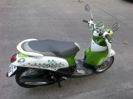 Fino เกย์แยก ลายแฟชั่น