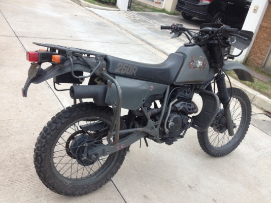 ขายhonda xlr 250 1996 ทหารญ๊๋ปุ่นหายากมาก ขายhonda xlr 250 1996 ทหารญ๊๋ปุ่นหายากมาก