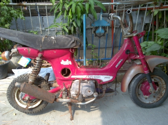 ขายชาลีแห้งจัด สุดๆ คร๊าบบบบบบบ