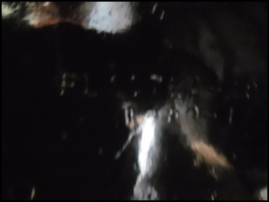 สิบล้อ F 18 สภาพดี เพลาเดียวดั้ม สวยๆ