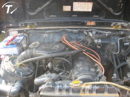 ขายเคริเบี้ยน