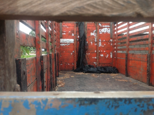 ขายรถร็อค195นางฟ้าแท้ ขายรถร็อค195นางฟ้าแท้