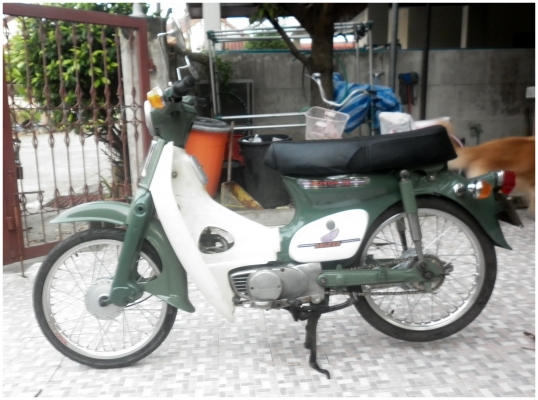 ขายอีกครั้ง C70 สวยๆ ราคาเบาๆ11,500 บาท