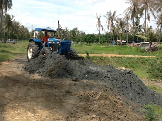 ยกเลิกการขย ยกเลิกการขย