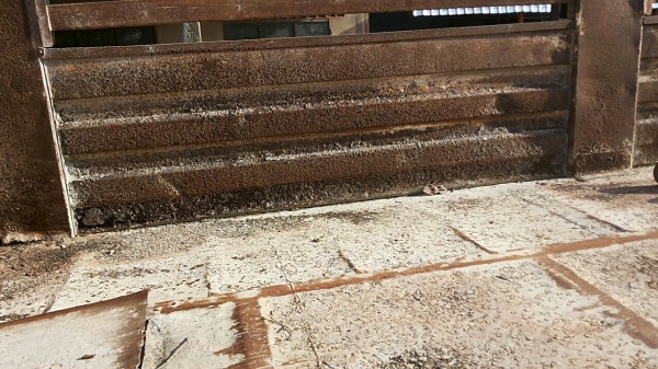 ***ขายแล้วครับขอบคุณ Truck2hand ขาย10ล้อ2เพลาไม่ดั๊ม "ไอ้หลงโบ220" MITSU FN527 TF0273 เครื่องเดิม6D16TF0273 220HP เครื่องแน่นดี แรง เกียร์อีตั้น ช่วงล่างแน่นคัสซีสวยเดิมไม่ผุไม่ดาม กระบะเหล็กคอกเกษตรสูงสภาพดี พื้นมีผุนิดหน่อย ข้างสวยไม่ผุ เพลาไม