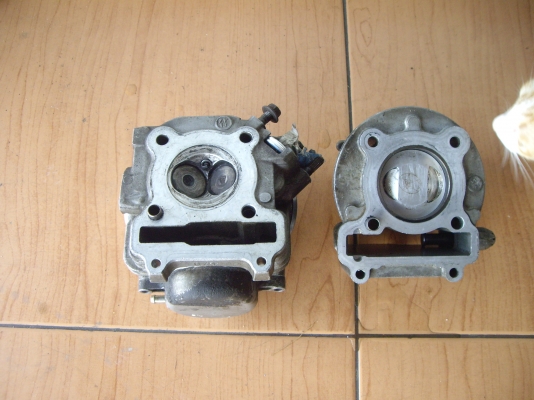 เสื้อฝา  ฟีโน