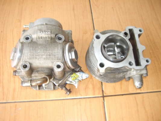 เสื้อฝา  ฟีโน