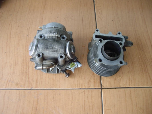 เสื้อฝา  ฟีโน