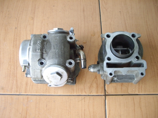 เสื้อฝา  ฟีโน