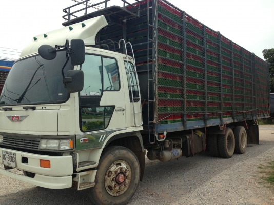 ขายสิบบรรทุกไก่พร้อมกล่อง ด่วนๆ