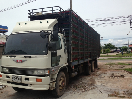 ขายสิบบรรทุกไก่พร้อมกล่อง ด่วนๆ