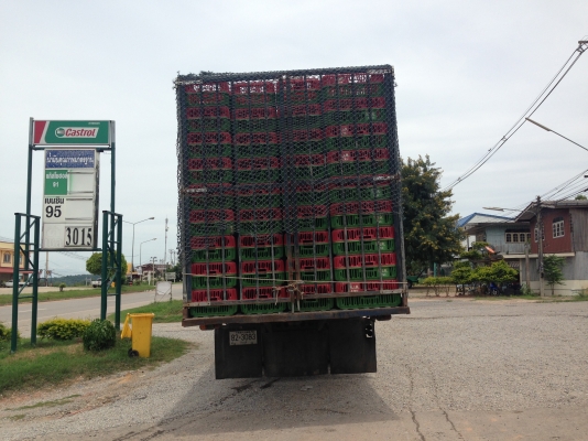 ขายสิบบรรทุกไก่พร้อมกล่อง ด่วนๆ