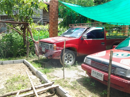 นิสสันบิ๊กเอ็ม ฝาแดงละเอียด คัชซีสวย ขายตามสภาพ นิสสันบิ๊กเอ็ม ฝาแดงละเอียด คัชซีสวย ขายตามสภาพ