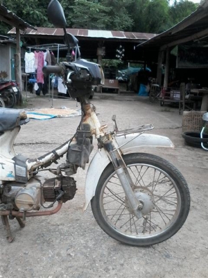 ขายดรีมคุรุสภาขาว เล่มทะเบียนชุดโอนไม่ได้ตามเครื่องดีอะไหร่ต้องไปเก็บเอง ขาย 6900 บาท