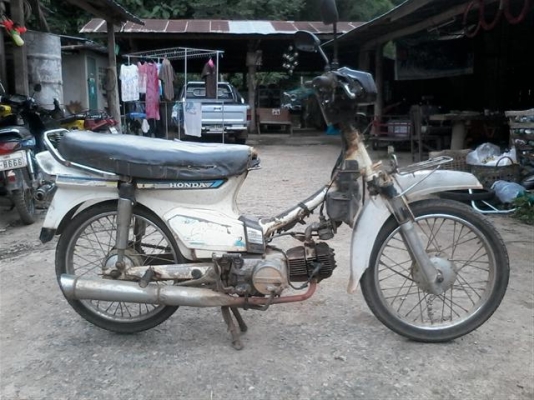 ขายดรีมคุรุสภาขาว เล่มทะเบียนชุดโอนไม่ได้ตามเครื่องดีอะไหร่ต้องไปเก็บเอง ขาย 6900 บาท