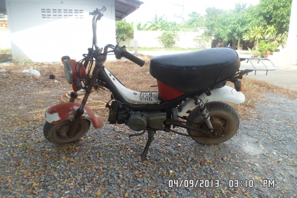 yamaha chippy ราคาถูก