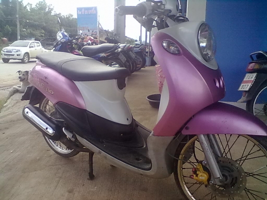 ฟรีโนปี 51 เครื่องเดิม