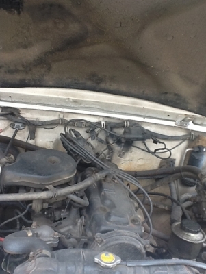 ขาย suzuki sporty ปี 96 เครื่อง1.3 cc. สีขาว ขาย suzuki sporty ปี 96 เครื่อง1.3 cc. สีขาว