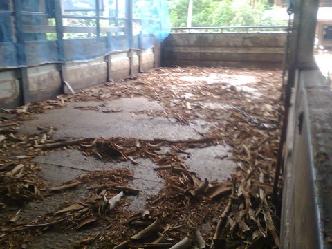 ขายด่วน ISUZU785000 เครื่อง 6HE1 195 แรงม้า คัสซีใหญ่ตลอด มีสโลว์ ยาง 900 เบรคทิฟฟี่ พวงมาลัยพาวเวอร์ รถสภาพพร้อมใช้งาน   รีบจองเลยครับ  0836636803