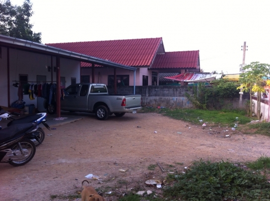 ขายที่ดินพร้อมห้องแถว ราคาถูกๆ ขายที่ดินพร้อมห้องแถว ราคาถูกๆ