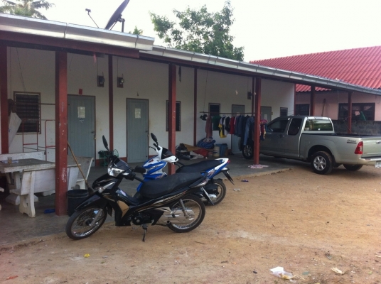 ขายที่ดินพร้อมห้องแถว ราคาถูกๆ ขายที่ดินพร้อมห้องแถว ราคาถูกๆ