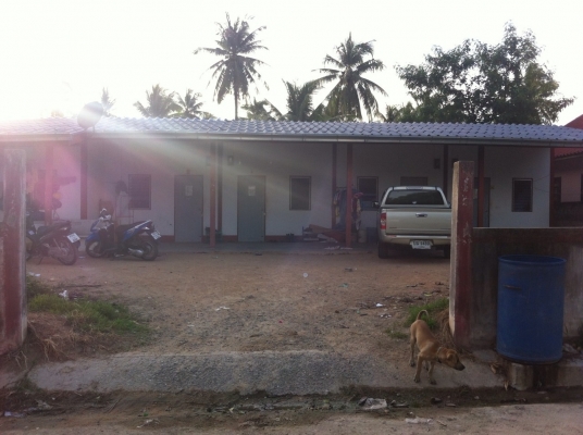 ขายที่ดินพร้อมห้องแถว ราคาถูกๆ ขายที่ดินพร้อมห้องแถว ราคาถูกๆ