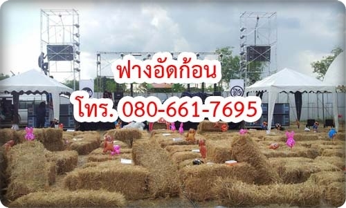 ฟางอัดก้อน