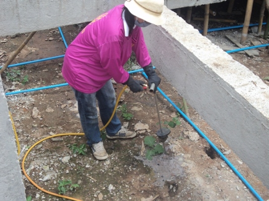 บริการ กำจัดปลวกทั่วจังหวัดเชียงราย และจังหวัดใกล้เคียง