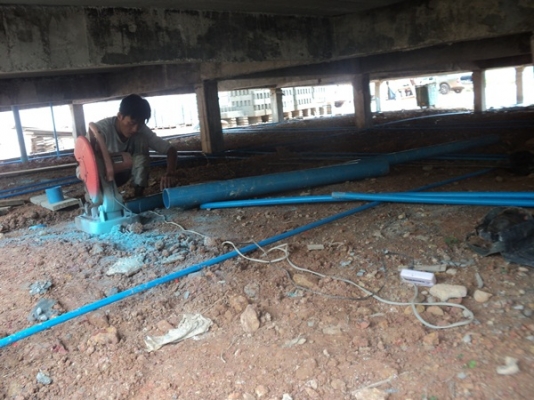 บริการ กำจัดปลวกทั่วจังหวัดเชียงราย และจังหวัดใกล้เคียง