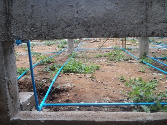 บริการ กำจัดปลวกทั่วจังหวัดเชียงราย และจังหวัดใกล้เคียง