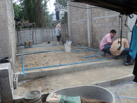 บริการ กำจัดปลวกทั่วจังหวัดเชียงราย และจังหวัดใกล้เคียง