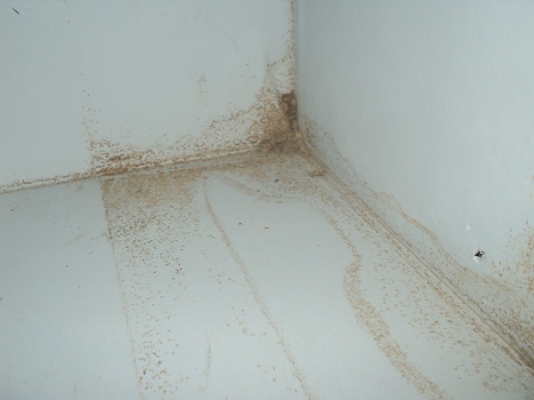 บริการ กำจัดปลวกทั่วจังหวัดเชียงราย และจังหวัดใกล้เคียง