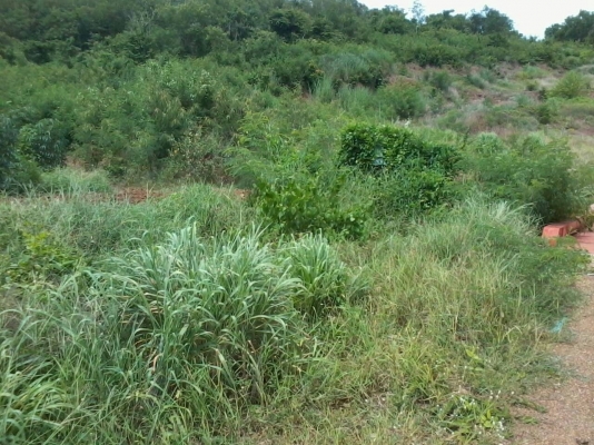 ขายที่ดินภูเขาลูกรัง 22 ไร่ 1 งาน 10 ตรว  มีโฉนด