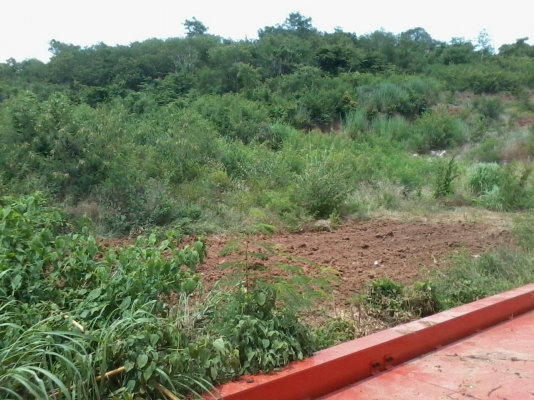 ขายที่ดินภูเขาลูกรัง 22 ไร่ 1 งาน 10 ตรว มีโฉนด ขายที่ดินภูเขาลูกรัง 22 ไร่ 1 งาน 10 ตรว มีโฉนด