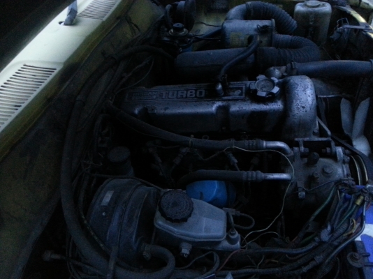 ขายถูกๆดัสสันแค๊ปใหญ่