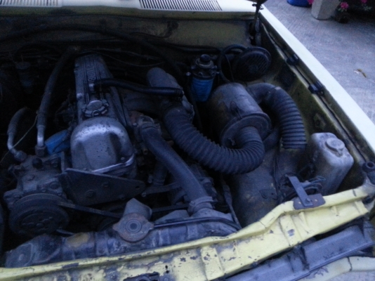 ขายถูกๆดัสสันแค๊ปใหญ่ ขายถูกๆดัสสันแค๊ปใหญ่