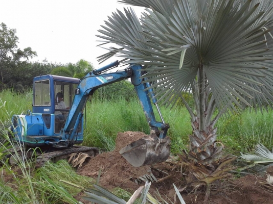 ขายรถขุดเล็ก kobelco