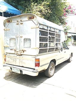 ขายรถกระบะโตโยต้า ไมตี้เอ็กซ์ ปี 92 ขาย 100,000บาท