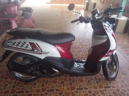 ขาย ฟีโน่ ไมล์แยกปี 2554