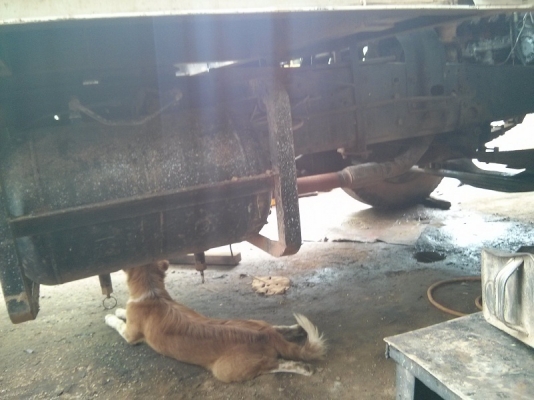 เทเลอร์ Hino 10 ล้อ 2 เพลา เบรคทริิฟฟี่ พาวเวอร์ ทะเบียนเต็ม พร้อมหางไฮดรอริค