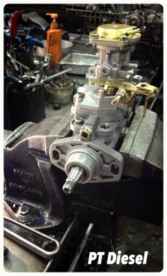 ขายปั๊ัมมังกร tfr  เทอร์โบค่ะ