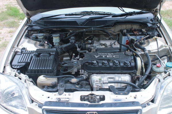 ขาย ปี96 HONDA CIVIC VTI-L โฉมตาโต เกียร์ธรรมดา ขาย ปี96 HONDA CIVIC VTI-L โฉมตาโต เกียร์ธรรมดา