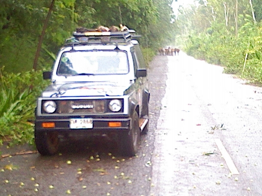 ขายรถยนต์ซูซูกิคาริเบียน