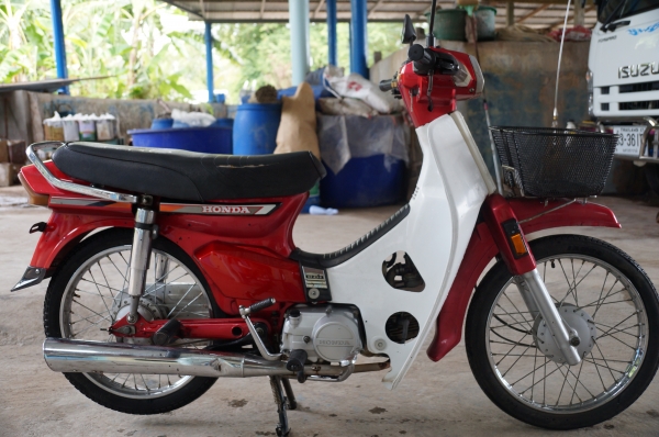 ขาย HONDA ดรีม คุรุสภา เดิมสวย เครื่องดีมาก สตาทร์มีอ  ทะเบียนพร้อมโอน