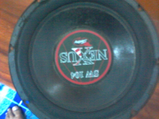 ดอกลำโพง 10