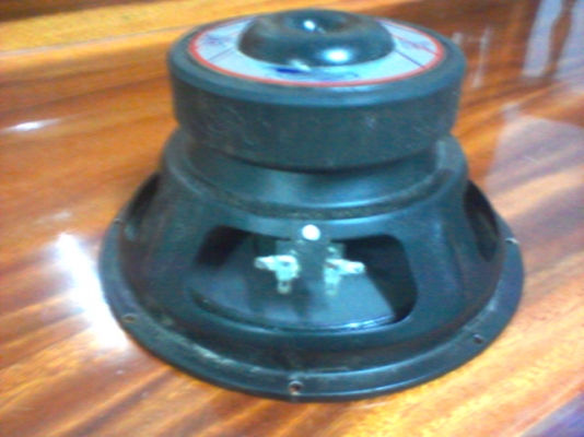 ดอกลำโพง 10