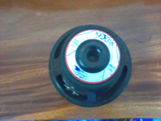 ดอกลำโพง 10